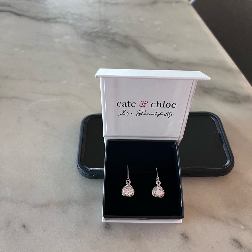 Silver Drop Earrings‎ with Delicate Design